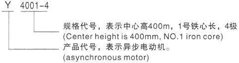 西安泰富西玛Y系列(H355-1000)高压Y6301-8/1120KW三相异步电机型号说明