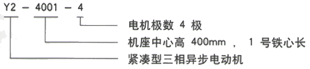 YR系列(H355-1000)高压Y6301-8/1120KW三相异步电机西安西玛电机型号说明